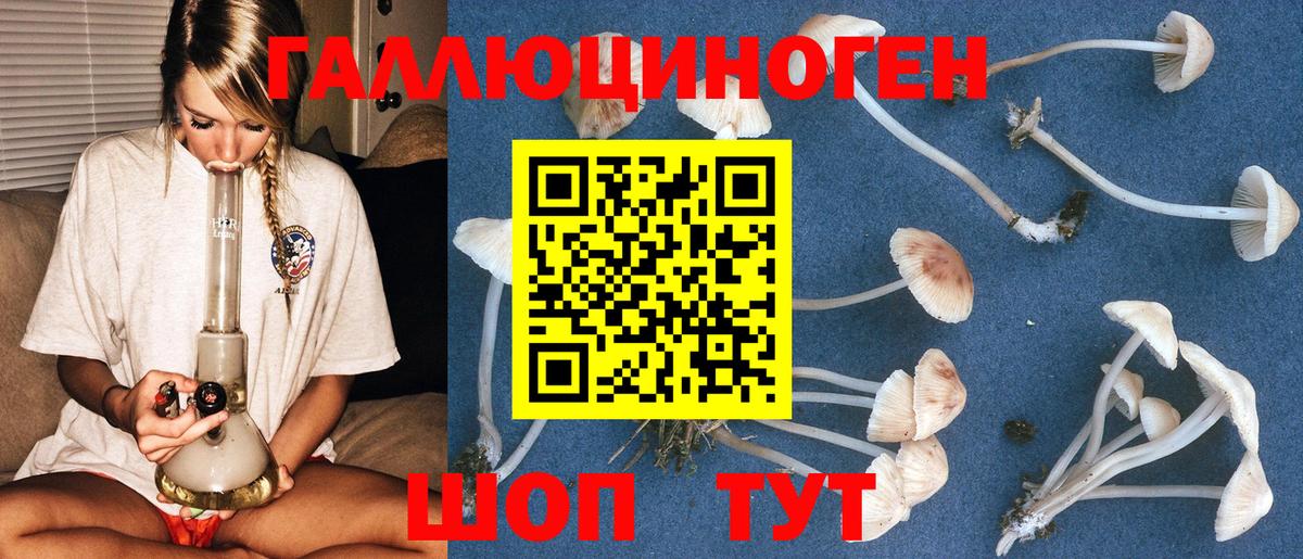 Галлюциногенные грибы ЛСД Заволжье