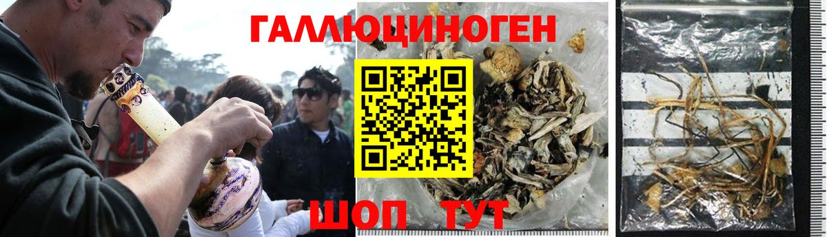Галлюциногенные грибы Magic Shrooms  Вход с VPN  Заволжье  Псилоцибиновые грибы GOLDEN TEACHER 